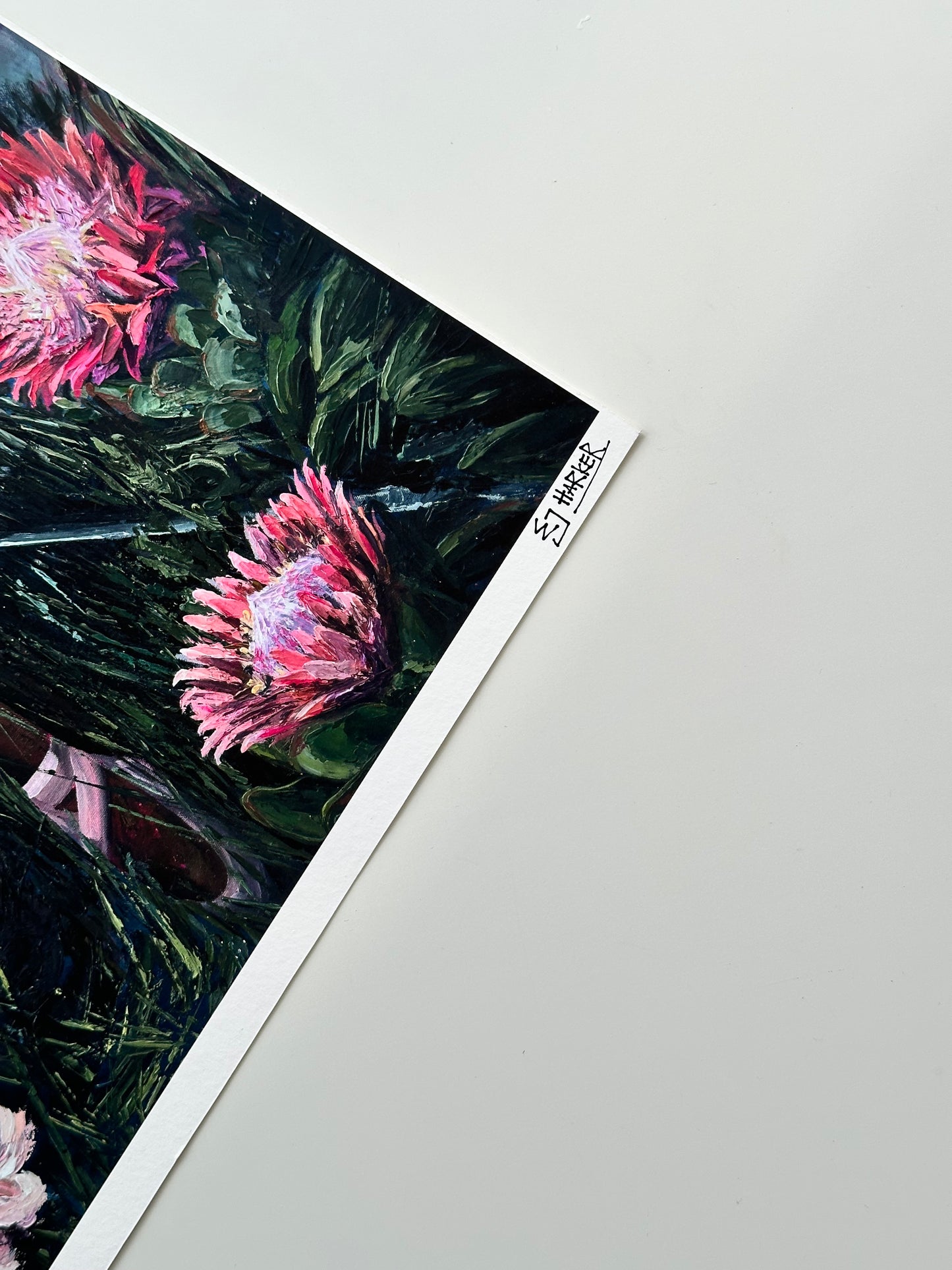 QUEEN PROTEA - PRINT