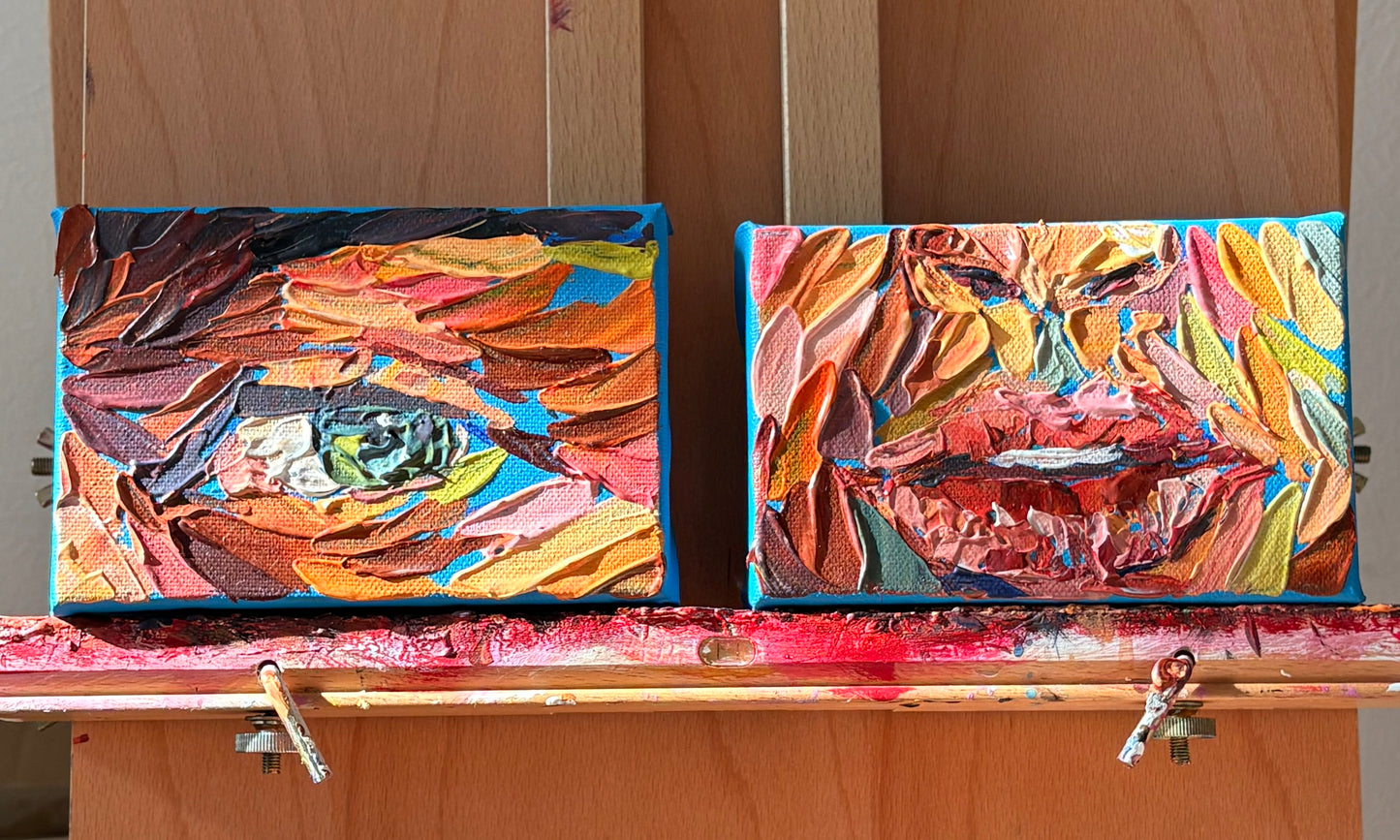 WINDOWS & PORTALS